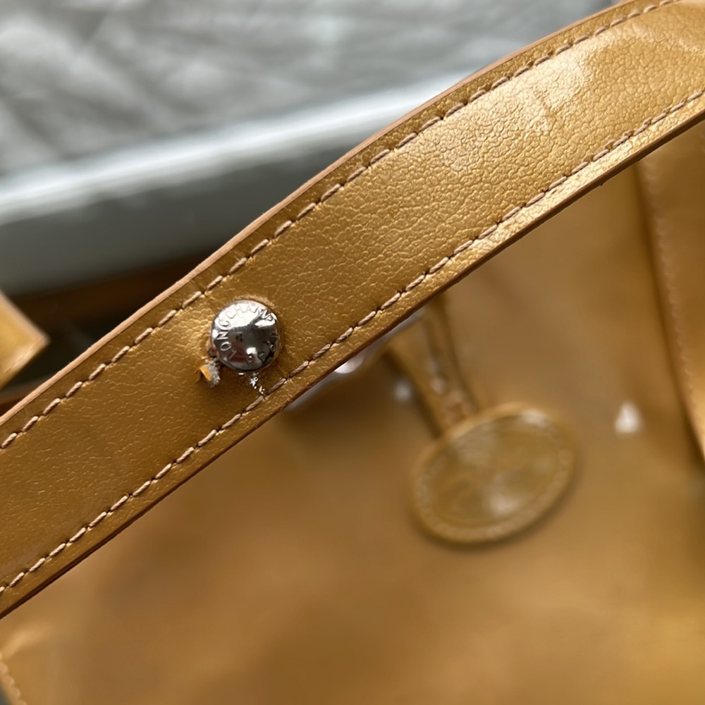 Longchamp Adjustable Shoulder Bag - image 7